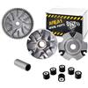 Area Longboard Variomatik Set compatibile con Piaggio Hexagon 125/150 / 180 2T (Piaggio 125ccm)