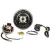 PINASCO FLYTECH KIT ACCENSIONE ELETTRONICA 12V VOLANO 1,5 KG CONO 20 ANTICIPO VARIABILE PIAGGIO APE 50 CON AVVIAMENTO ELETTRICO MODIFICA 125cc Art. 25356857