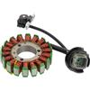 WOOSTAR 18 Bobina 6 Fili Magneto Statore Sostituzione per 1995-2003 Seadoo 800 951 GTX GSX SPX RX XP OEM 290886588 420886588