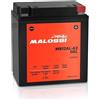 Generico BATTERIA MALOSS I GEL MB12AL-A2 = YB12AL-A2 SCARABEO 125/150/200 MADISON 400 LEONARDO 250 GEOPOLIS 400/500 F 650 CC GS 2000 2008 PEGASO 650 1997 2004