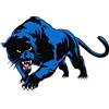 Asudaro Adesivo Pantera Asudaro per Auto - Decorativo Black Panther Animale Decalcomania 3D Creativo Leopardo in Vinile Trim