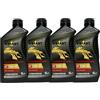 VIMANT Olio Motore 4T 10W-40, 4 Litri, 4x1L, 100% Sintetico, JASO MA/MA2, Per Motori a 4 Tempi, Moto e Scooter