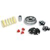 Malossi 5113134 VARIATORE MALOSSI MALAGUTI MADISON 125 4T LC (YAMAHA) MULTIVAR 2000