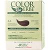 Colorerbe Tintura COLOR ERBE Bio Castano Ramato (4.4)