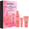 Aveda Nutriplenish Nutrient-Rich Hydrating Hair Kit