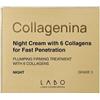 LABO Collagenina Crema Viso Notte Grado 3 con 6 Collagene per Penetrazione Rapida 50ml
