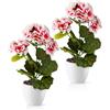 PASCH Fiori artificiali (gerani (bellezza)