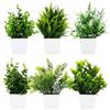 Royouzi 6 Piante Artificiali, Piccole Mini Piante Artificiali In Vaso, Vasi da Fiori Artificiali, Adatte per Arredare Uffici, Camere da Letto, Terrazze, Soggiorni e Bagni (Bianco)