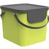 Rotho Albula Sistema di Separazione dei Rifiuti per la Cucina, Plastica (PP) senza BPA, Verde Chiaro/Grigio (Antracite), 40 L, 40.0 x 35.8 x 34.0 cm