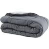 Russo Tessuti Trapunta Piumone Invernale Singolo Matrimoniale Bicolor Doubleface Microfibra-Grigio-Singolo