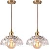 LIGKIN Set di 2 Lampadario a Sospensione Vintage Lampadario Industriale E27 Lampadario a Fiore Creativo con Paralume in Vetro Lampadario Plafoniera Decorativa per Cucina Sala da Pranzo Camera da Letto