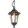 QAZQA new haven - Lampada a sospensione Classico - 1 luce - Ø 171 mm - Nero - Design I Rustico - Illuminazione esterna