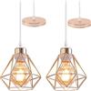 TOKIUS Lampada da Soffitto E27 Vintage Plafoniera Soffitto Industriale Metallo Gabbia ferro Lampada a Sospensione per Corridoio Camera da Letto Soggiorno,Rame (L-2)