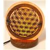 crigema - Lampada USB di Sale dell'Himalaya - 12 cm di Altezza - 0,5-1 Kg (FIORE DELLA VITA)