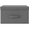 PALUPLUS Scatola Maxi Portaoggetti Pieghevole di colore GRIGIO con coperchio, misura 40x50x25 cm, contenitore in tessuto salvaspazio con maniglia, organizer per Armadio -F-0,3