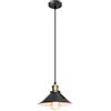 iDEGU Lampada a Sospensione Vintage Lampadario a Sospensione Retrò E27 Plafoniera Stile Industriale in Metallo Lampada da Soffitto per Sala da Pranzo Soggiorno Cucina Ristorante Bar (Solo, 22cm)