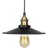 Mengjay E27 Lampadari a Sospensione Design Semplice Industrial dell'Annata del Pendente Edison soffitto Illuminazione Ombra Ristorante Lampada a Sospensione Nera Lampada per bar ristorante Loft (Ø 22cm)