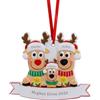 Kaululu Addobbi Natalizi per Albero Personalizzato con Nome Natale 2025 Decorazioni Casa, Albero di Natale Ciondolo in Resina Regali Natale (C, 3 Nomi)