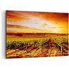 ARTTOR Quadro su Tela 100x70cm Stampe da Parete Vigneto Vista Campagna Grandi Decorazione Murale Camera da Letto Cucina 1 pezzo Quadri Moderni Soggiorno Grafica Immagini Wall Art Canvas AA100x70-0170