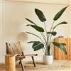 BLAINE | Strelitzia 120cm | Piante Artificiali Decorative | Pianta Artificiale Grande | Piante Artificiali per Interni/Esterni | Pianta Artificiale Realistica Decorativa per la Casa