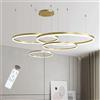 LIUYU Lampadario a Sospensione LED Rotondo Moderno, 4 Anelli 20/40/60/80cm 110W Colore Oro, Dimmerabile e Regolabile in Altezza con Telecomando, per Soggiorno, Camera da Letto e Cucina