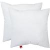 POWER INN - Set da 2 Cuscini Interni in Cotone, 40 x 40 cm, Lavabili, Decorativi per Divano, Imbottiti con Imbottitura Oeko Tex 100