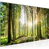 Runa Art Quadro Foresta paesaggio Stampa D'Arte Tela Non Tessuta Decorazione Murale Soggiorno Camera Da Letto 503856b