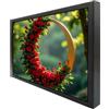 VSDISPLAY Monitor LCD IPS nero da 10,1 pollici 1280x800 350 nit, case in metallo con fori di montaggio posteriori da 75 mm/100 mm, luminosità regolabile