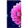 Tivenfezk Nadoli Custodia PU Pelle per Samsung Galaxy S23,Carino Colorato Dipinto Rosa Petalo Porta Carte Magnetico Portafoglio Protettiva Cover