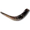 Spring Nahal Autentico Shofar in corno di ariete lucido e kosher proveniente da Israele (45,7 cm - 50,8 cm)