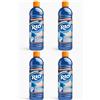 Generico Rio Azzurro Detergente Anticalcare e Igienizzante per WC, 750 ml, Confezione Disponibile in Diverse Quantità (4)