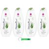 Beni Culinari 4 gel doccia Dermomed Bagnoschiuma Purificante Aloe Bagnoschiuma Bagnoschiuma, 650 ml + portachiavi in omaggio Beni Culinari