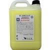 ECOBOLLE Ammorbidente Olimpia - Concentrato Super Profumato 5KG (Profumato, inspirato al celebre profumo)