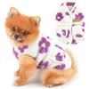 PAIDEFUL Gilet classico per cani di piccola taglia in pile jacquard con tasche, morbido maglione per cuccioli con bottoni, autunno inverno, caldo cappotto per animali domestici, abbigliamento