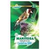 Manitoba - Cardellino 3000
