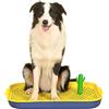 Generic Toilette per cani, vassoio WC per cani | Colonna di cactus per cani, WC rimovibile, supporto portatile per cuccioli Ue Pad, WC interno per cani