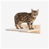 PERCORSIPERGATTI.IT Mensole per Gatti da Parete in Legno d'Abete PEFC Artigianali, Mensola Gatto 30 cm, per Arrampicata e Percorso da Muro per Gatti con Resistenza Fino a 20 kg - Percorsipergatti