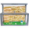 AntHouse - Fattoria di formiche di sabbia naturale 3D | Modello L (sandwich + scatola per alimenti) Grigio | Compreso il formicaio