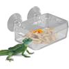 Generic Ciotola per cibo per rettili, ciotola trasparente per , camaleonte, geco, iguana