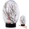 Joygoodta Mini Acquario, Piccolo Acquario da Tavolo con Luce a LED, ecosistema autosufficiente, Nessuna necessità di Alimentare o Cambiare l'ecosistema Acquatico Chiuso per la casa