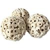 Kfwfuaee 3pcs Uccello Giocattoli Temprato Sola Ball Owleye Alimentazione Giocattolo Pack per Ara Grigia Parachet Africano per Alimentazione Giocattoli