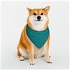 Oudrspo Bandane per cani verde acqua, sciarpa triangolare reversibile per animali domestici per ragazzo e ragazza, bandana per cani di taglia piccola, media e taglia piccola