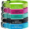 YDL - Collare per cani personalizzabile con nome dell'animale e numero di telefono, in nylon riflettente, 4 taglie regolabili, XS/S/M/L, con fibbia a sgancio rapido e anello a D