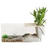 Generico Turtle Basin | Acquario con piattaforma solare leggera da bagno | Box di rettili, piante acquatiche trasparenti per pesce, design della scatola da riproduzione, paesaggio del terrario 40x22x23cm