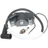 LIWaaGe Bobina di accensione for BS700-oi BS65-V BS650 BH22 BH23 BH24 BH55 BH65 5000049598 5000103302 5000154037 5000188216