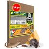 Albagarden - Trappola Per Topi Super Adesiva Professionale con Esca e con Aroma al Formaggio - Tavoletta con Colla Per Topi - Cattura Roditori, Talpe, Rettili, Ratti (24 Pz)