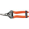 STOCKER Forbice agrumi a Lama Curva 16,5 cm