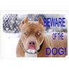 Crazy Family Shop Targa per esterni Beware of the Dog per cancello o recinto foto Pitbull 30 x 21,5 cm