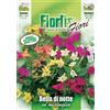 Flortis Bella Di Notte