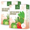 LERAVA® Kit Semi Orto [2x12 VARIETÀ] - Bieta, Zucchino, Pomodoro, Valeriana, Carota, Lattuga, Ravanello, Cavolo, Spinacio, Cipolla, Cicoria, Peperone - Sementi per Orto, Semi da Piantare